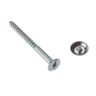 MIRROR SCREW