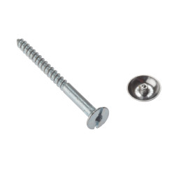 MIRROR SCREW PRE BAG