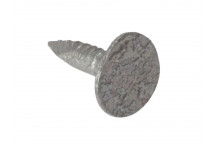 Nail Clout Extra Large Head Galvanised 3.00 x 30mm 2.5Kg