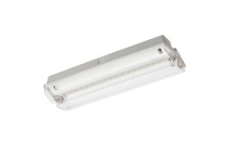 Emergency Bulk Head IP66 3w