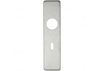 Lock Profile Cover Plate For 19mm ZCSIP19 RTD Lever